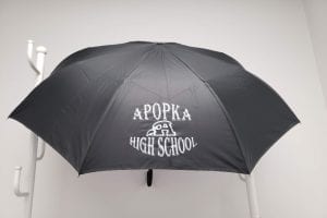 Popup Image: Inverted Umbrella