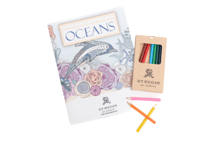 Popup Image: Activity Book and Colored Pencil Set