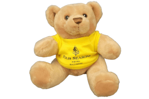 Popup Image: Bear Plush